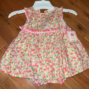 Emma’s Garden baby girl dress 12 months